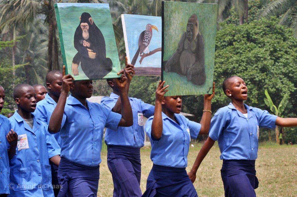 Cameroon Wildlife Corridor