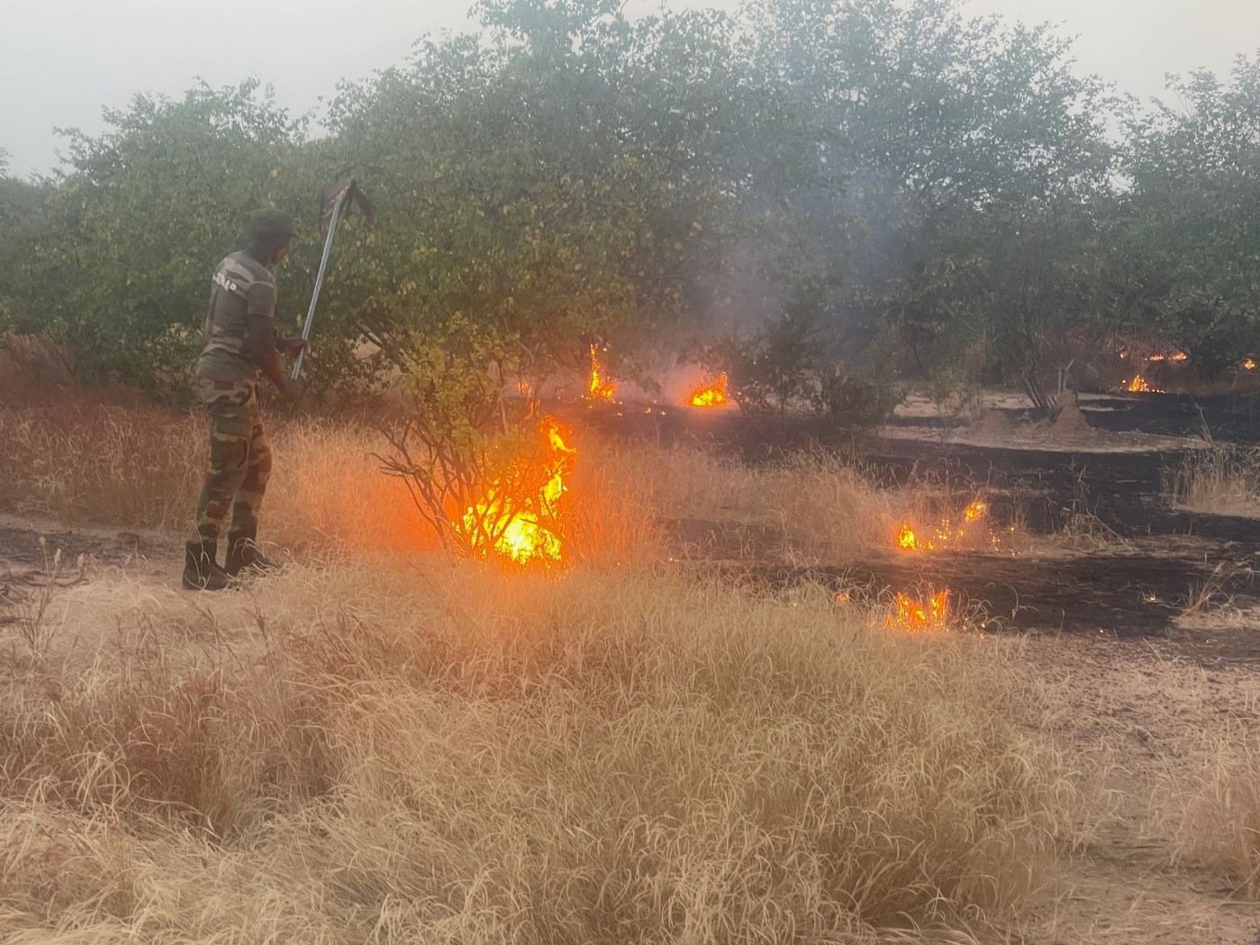 Fighting Wild Fires, Senegal