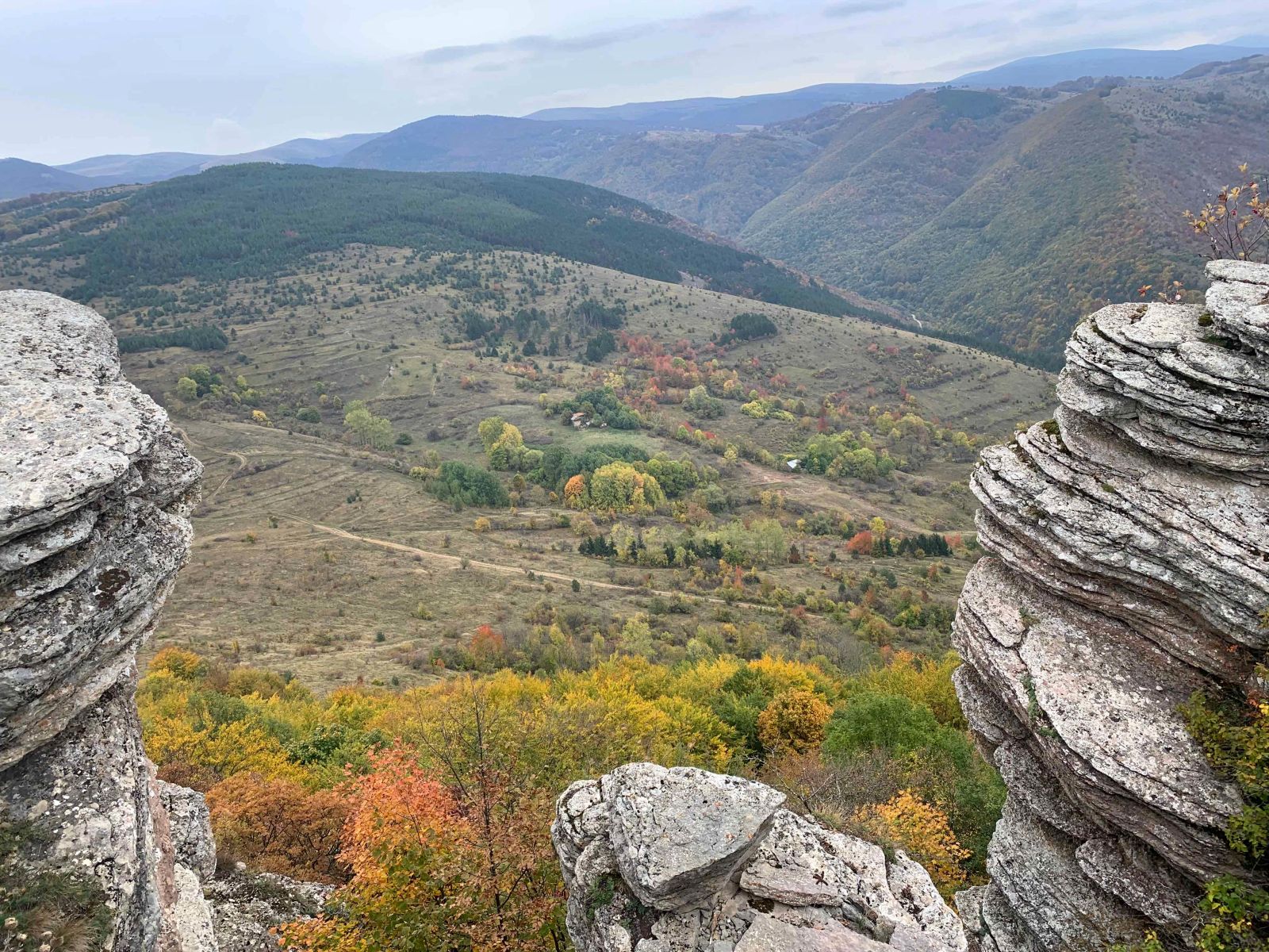 Rewilding in Serbia